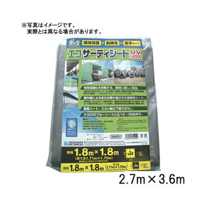 60 u[V[g #4000 GRT[eBV[gUV 2.7×3.6 m Vo[ HƐ Y{ lzs s