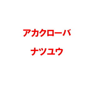  3kg PVP AJN[o icE  n _ iϗp Δ c S s (COo֎~ o^i햼:icE _ѐYȕio^:12308)