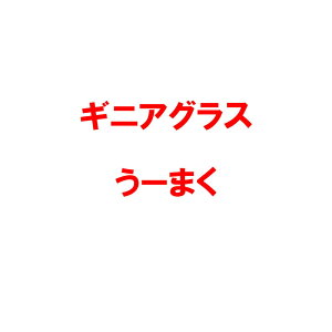  1kg PVP MjAOX [܂ c S s (COo֎~ o^i햼: [܂ _ѐYȕio^:22050)