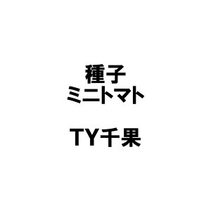 R[gq 1000 TY eB[C`J ~jg}g ͔|p ^LCc S s (o^i햼FTTM106)