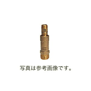 ϋv  Ήp ^[tWCg XvN[ ݒu  ȒP AJS-M-50×40 a mm 2×1-1/2PT }[AOWp hJ lzs s