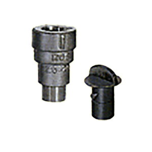 ϋv  _Ɨp Ήp NCbN\Pbgou RQS^ Wt RQS20×20P }[AOWp hJ lzs s