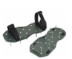 Rp K[fXpCN ŐC  Ő   GA[V ʋC ATmY DZ