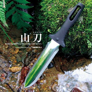 �R�� (���}�J�^�i) No.800 �m�� �tYD