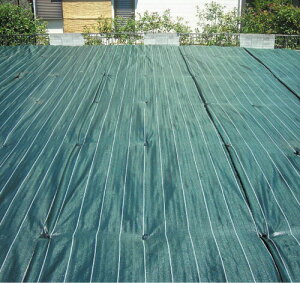 OhoANX-3 GBC-3 2.0×50m 3Nό hV[g  G΍Ȃǂ H lzs s