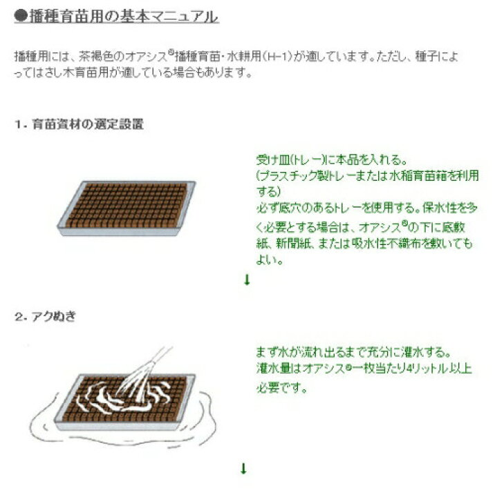 楽天市場 園芸培地 オアシス H 1 幡種用 162コマ シート入 育苗 栽培用品 タ種 代引不可 農業用品販売のプラスワイズ