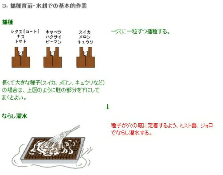 楽天市場 園芸培地 オアシス H 1 幡種用 162コマ シート入 育苗 栽培用品 タ種 代引不可 農業用品販売のプラスワイズ