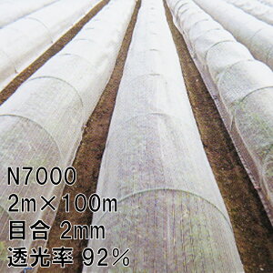 2m×100m i` hTTlbg N7000 rj[nEX gl Ȃǂ hlbg {ChNX ^S s