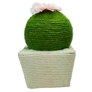 ܂ƂT{e ܂Ƃpi Lpi ybgpi CeA ybgAC I[V} s