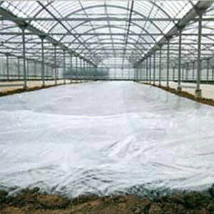 oA[X^[V 0.05mm×700cm×100m rj[nEX KXoA[  _PO _ _Ǝ _Ɨpi g[JY ^S lzs s