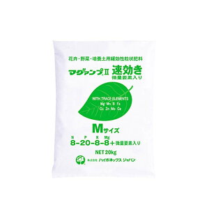 }O@v II  MTCY 20kg ʗvf 엿  5`6 }OAv ^S D