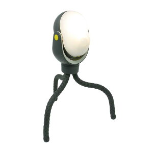 TV RITEX ǂłZT[Cg300 ASL-097 431335 邳3iK ő300LM Ort  O p dr KD