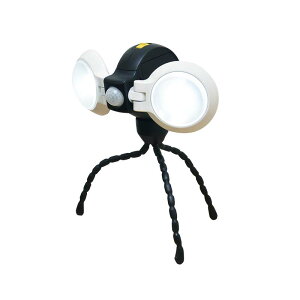TV RITEX ǂłZT[Cg_u ASL-092 431315 LED 170LM Ort  O p dr KD