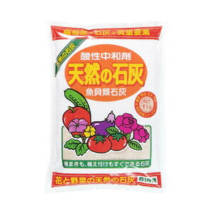 _a VR̐ΊD (L@ΊD) 3Kg A~m[w ސΊD _y뒆a  엿   Ԗ ʎ S s