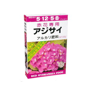 ԉԐp AWTCp엿 400g A~m[w AJ엿  엿 S s