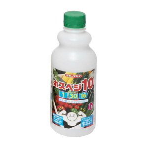 10 zXxW10 1-30-16 1L ^LCc _ + OVx^C t C Ԃ̏[ t 엿 s