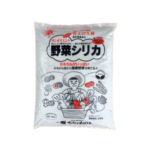 ؃VJ 20kg AQ}~ yǍ n͕ L@͔| |{y TO[IGg ^S D