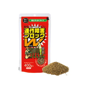 20 AQubNW 400g AQP Pʋ VR[ICg yǍ 엿 TT s