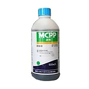 Őp MCPPt 500ml XMi N[o[ G ̏ Ő m { ۘaoCIP~J yYD