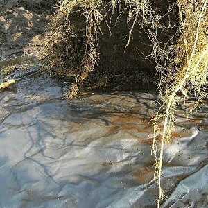 [gbvV[g  20A 0.4mm 210cm×100m Ԃǂ̍搧͔| V[g ՍV[g hV[g sDz nZKH kCs s