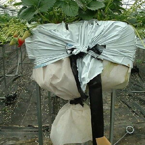 [gbvV[g  100cm×200m 0.24mm Ԃǂ̍搧 ͔| V[g ՍV[g hV[g sDz nZKH kCs s