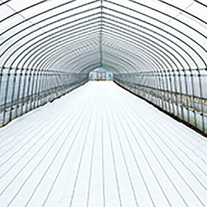 _CI OhV[g  At@ zCg  75cm×100m hV[g ˃V[g CmxbNX TT kCs lzs s