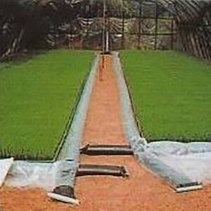 ぷーるっこ 育苗プールシート (Cタイプ シート2枚) 育苗箱180箱用 カ施D