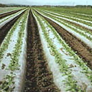 ؉p rIgbv  10{ 𐫃tB Ei 0.018mm×95cm×50m }` ؉ tB ^S lzs s