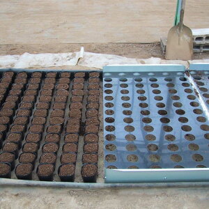 jb`|b^[ N35P 10.5 9p |bg 6×13 78  a 37 ؎Y Y J{ s