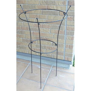 vgT|[g  gĎ No.421 { GreenGarden O[K[f ы K[fjO Ԃ  | x  D