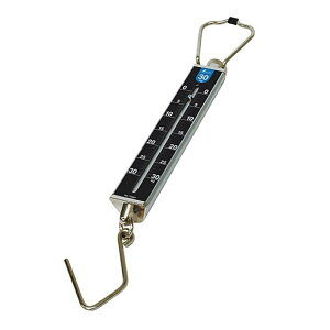 ΂ 30kg ʖڐ ؖȊOp 74487 ͂ v V H