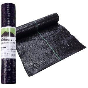 20 hV[g 30cm×10m VN s