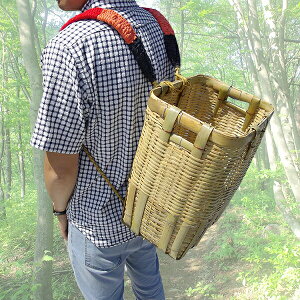 | w p 40cm×34cm×46cm n | aY H