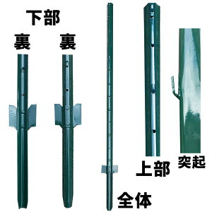 x̂  Aj}K[htFX 1.0mp x11{ O[ Aj}tFX p x hb΍ VZC s GRF10