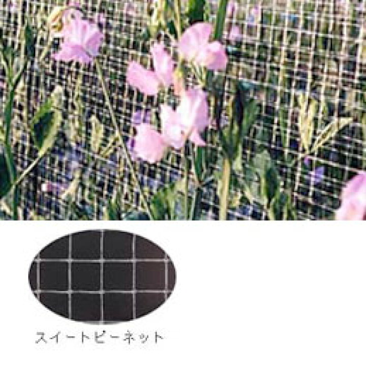 楽天市場 2本 スイートピーネット 目合18 ｍｍ 5m 100ｍ 白 Of1674 コンウェッドネット タ種 代引不可 農業用品販売のプラスワイズ