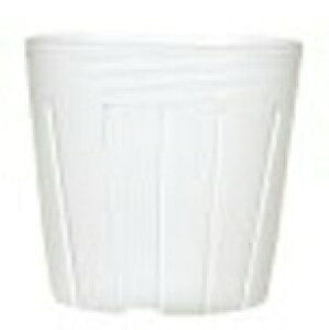 4080 P̃|bg c 9cm AC-90  AhEP~J TT lzs s