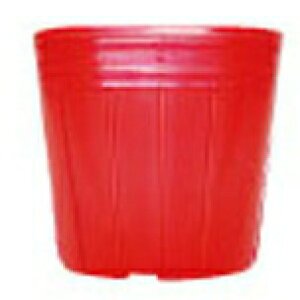 170 A|bg c 9cm AC-90-24  9cm×24 AhEP~J TT lzs s