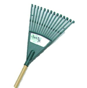 5{ Rp EgFP ^ 31×S150cm   t | | ܂ ATmY D