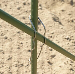 iiNXoh a 16`20mmp 5{ rj[ TD