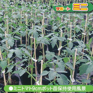 サポートミニ白5,000個SPM-W50苗倒れ防止保持具シーム【代引不可】