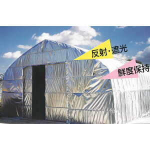 eN~[ #38 fMV[g 185cm×50m CmxbNX ՔM Ռ  rj[nEX TT kCs lzs s