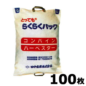 100 ƂĂ 炭炭pbN ct 580×800mm e30kg k cY BD