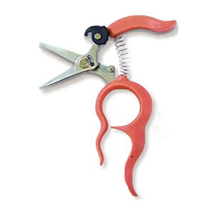 �Ԃǂ��E���� B-2 ���肪�g���� ���{�� �T�{�e�� �JSZ