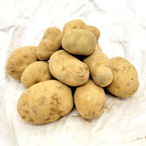 5kg ��� �A���o�� ���� �W���K�C�� PVP ���Ⴊ�����͔|�p �gS DZ (�C�O���o�֎~ �o�^�i�햼:�A���o�� �_�ѐ��Y�ȕi��o�^:��21889��)