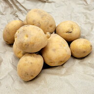 【6/1〜最大100%Pバック抽選で要エントリー】10kg 種芋 デジマ Sサイズ 出島 じゃがいも ジャガイモ 栽培…