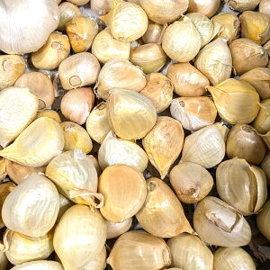 1kg  ͔|p W{jjN ɂɂ  p S s Y