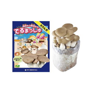 ۏ͔̂|Zbg ł܂  JlRc GM ͔|Lbg LmR͔| DZ