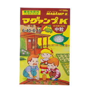 2 }O@v K  500g ԔN 6-40-6-15 ɍs엿 }OAvK nC|lbNX HYPONeX S s Y