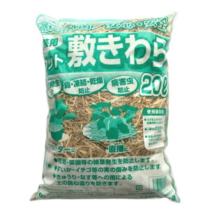 �y6/1�`�ő�100%P�o�b�N���I�ŗv�G���g���[�z�J�b�g��� �ܓ��� 20L �P��_�{�Y ���C�E�ۍς� ���� �m �e �ƒ�؉� ���| �_�� �͔| �gS D