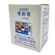 【3/31までエントリーで最大100%Pバック】1000個入 種駒 しいたけ KM-10号 丸棒型 食用きのこ菌 キノコ …